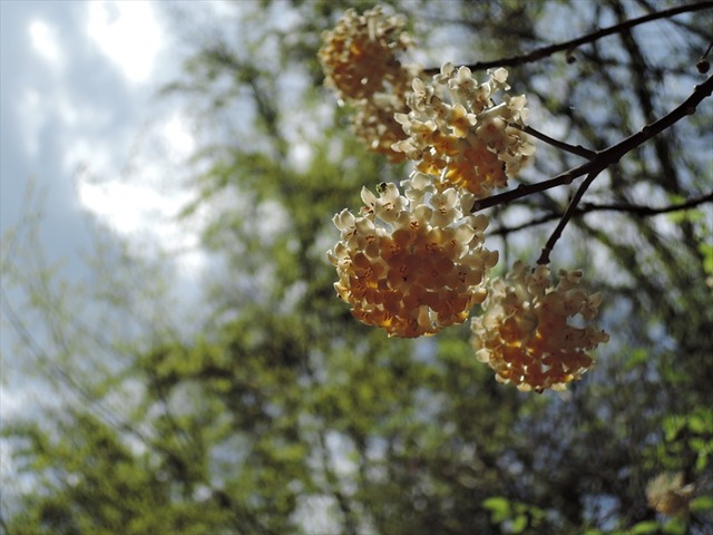DSCN4851_R