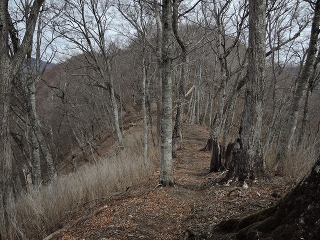 DSCN0769_R