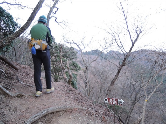 DSCN4298_R
