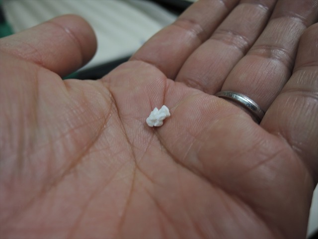 DSCN1163_R