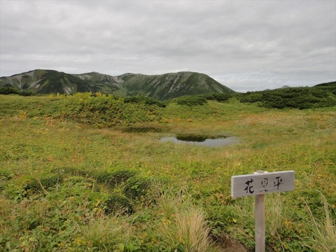 DSC08785_R