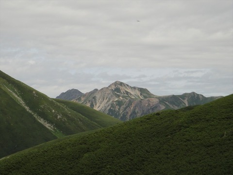 DSC08780_R