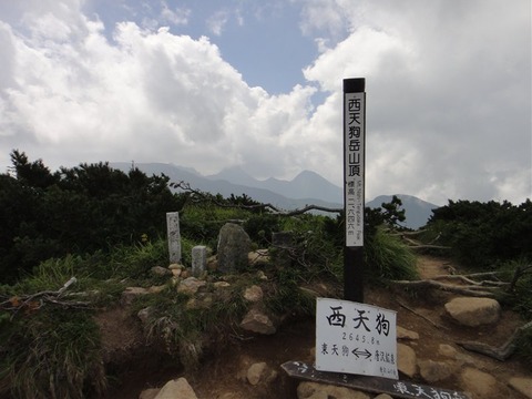 DSC05093