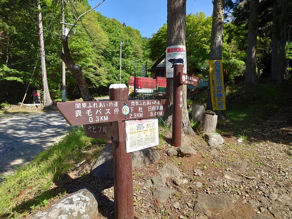 Gw大山ラウンド 大山 ヤビツ峠 蓑毛 ふれあいの森日向キャンプ場 U N L I M I T E D