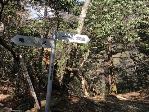 DSC07068_R