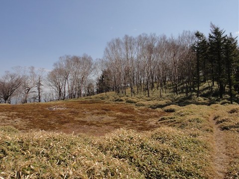 DSC03560