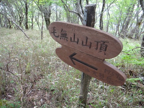 DSC07795_R
