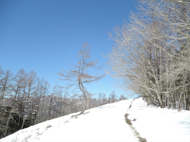 DSCN9654_R