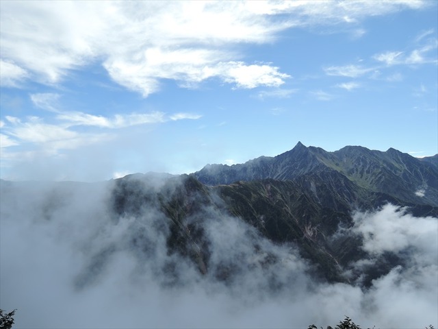 DSCN8203_R