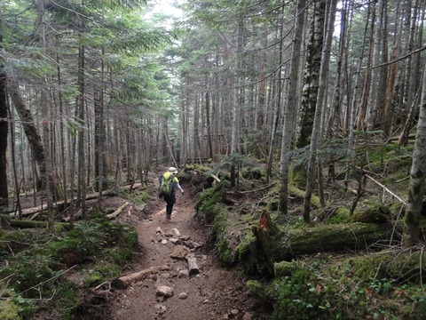 DSC05130_R