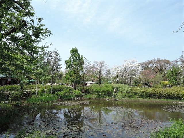 DSCN1298_R