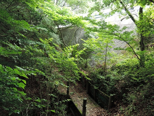 DSCN7857_R