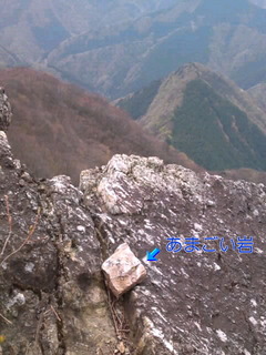 8d095c46.jpg