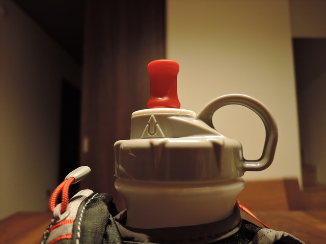 DSCN4276_R