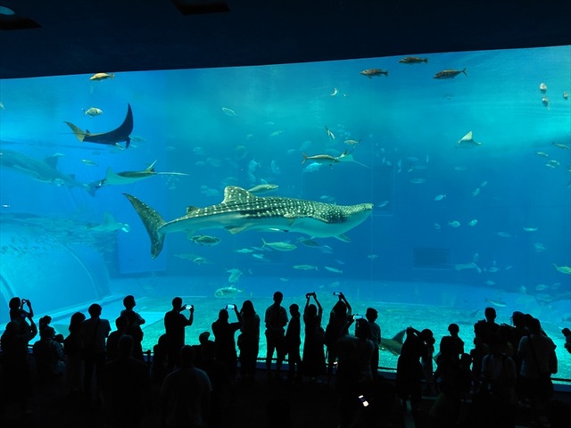 DSC_1072_R