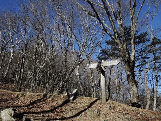DSCN6477_R