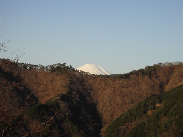 DSC01094_R