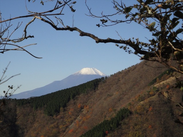 DSC09649_R