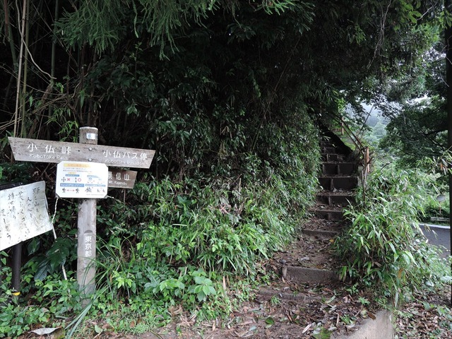 DSCN4171_R