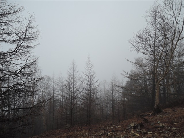 DSCN3379_R