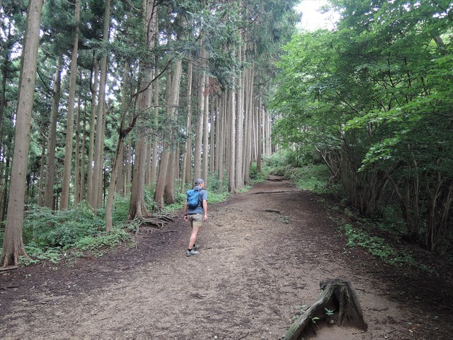 DSCN4182_R