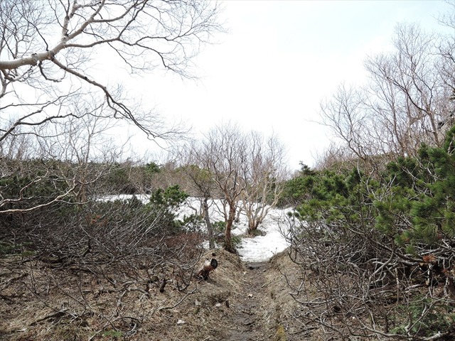 DSCN2025_R