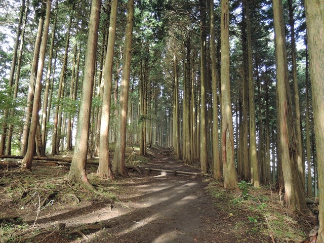DSCN5978_R