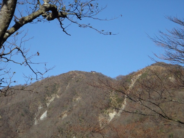 DSC09650_R