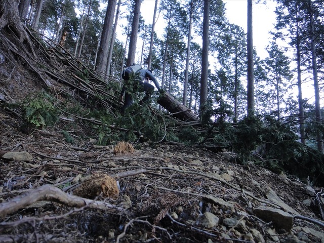 DSC00967_R