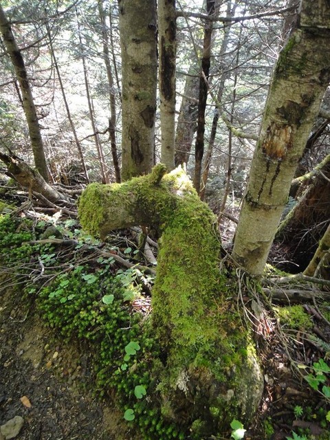 DSC05208