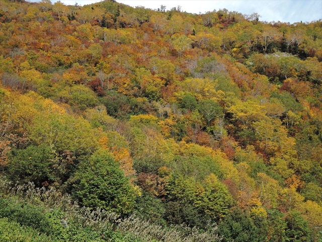DSCN3444_R