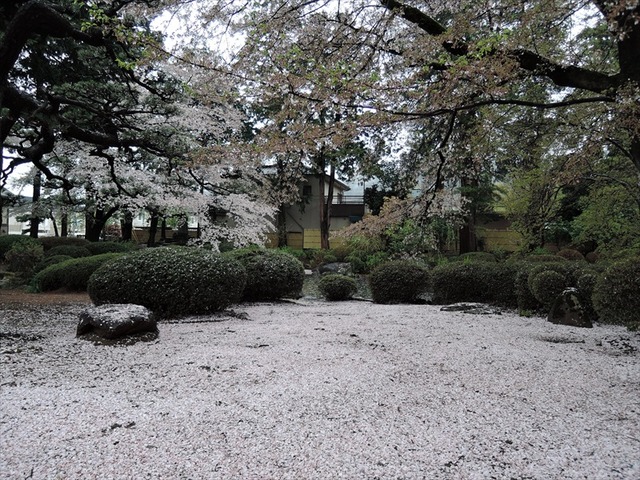 DSCN1099_R