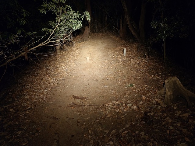 20250212_204918_R