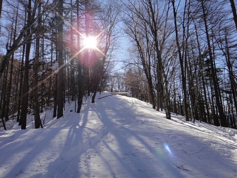 DSC06028