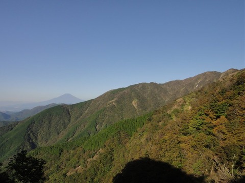 DSC05444
