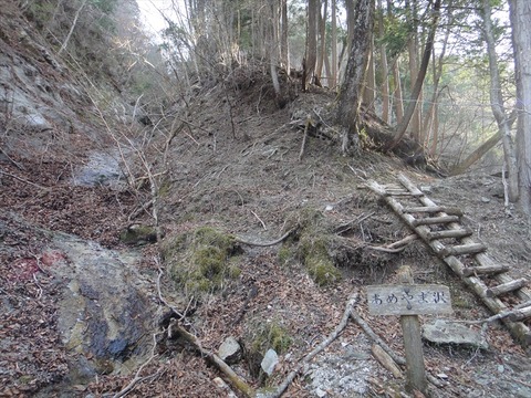 DSC07029_R