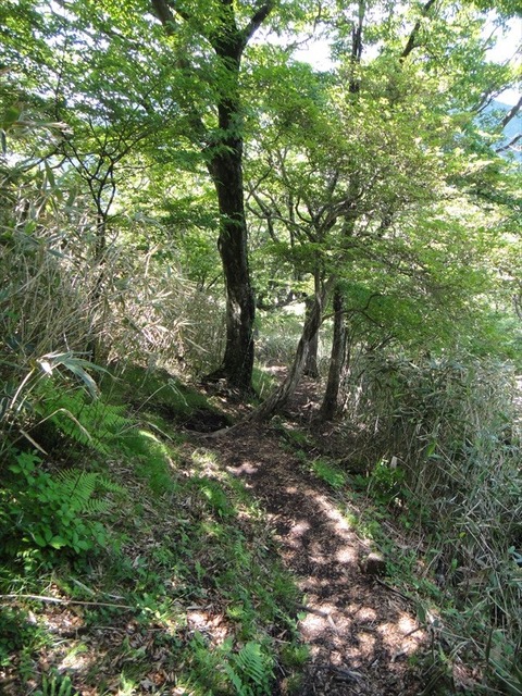 DSC07764_R