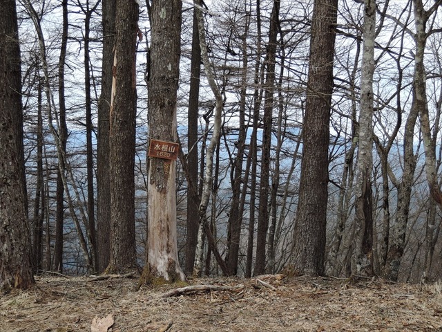 DSCN7502_R