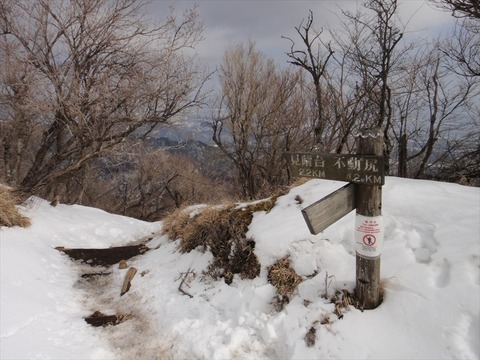 DSC06442_R