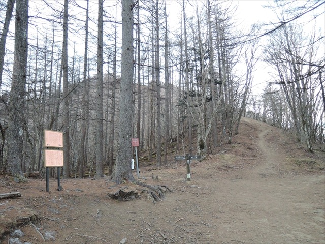 DSCN9303_R
