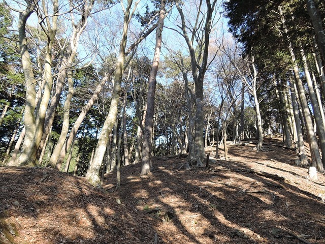 DSCN4550_R
