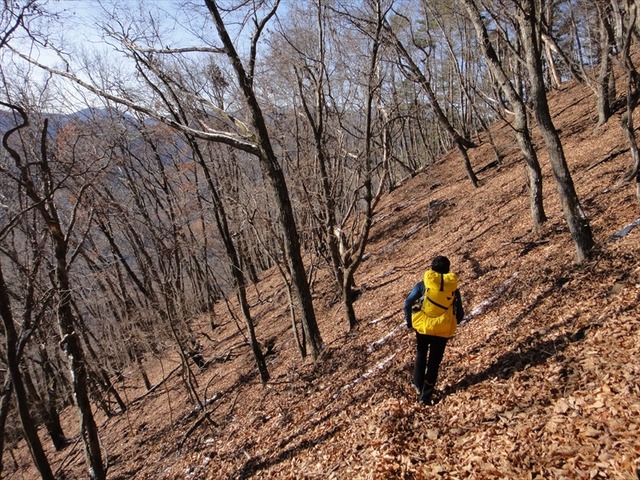 DSC00352_R