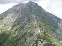 P8306424