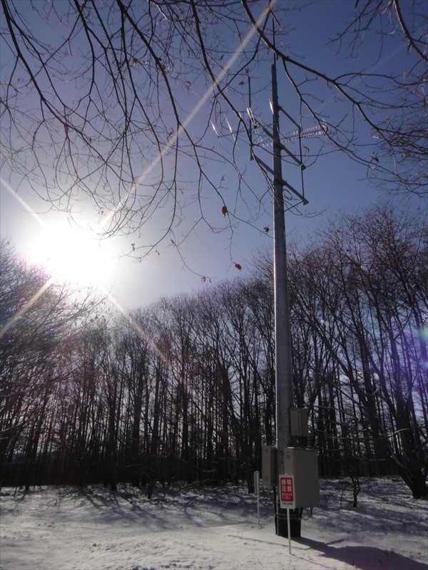 DSC00341_R
