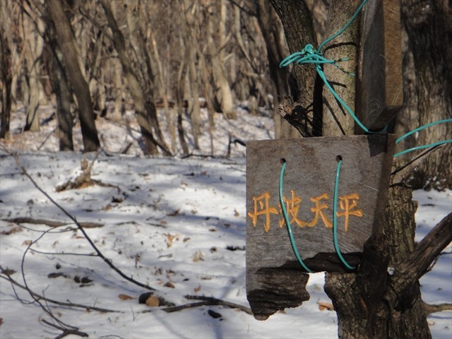 DSC00344_R
