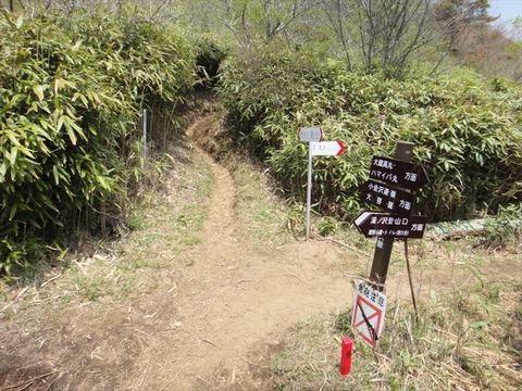 DSC07545_R