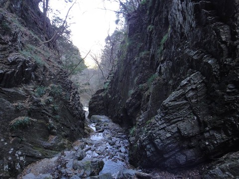 DSC06286