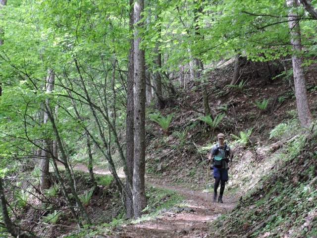 DSCN2150_R