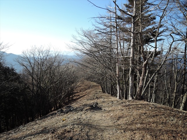 DSCN4109_R
