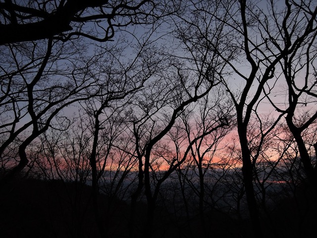 DSCN4295_R